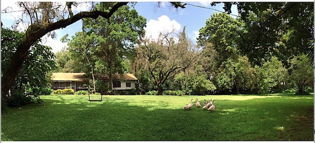 Screen Shot 2015-12-27 at 17.05.51